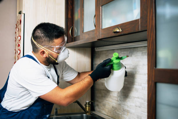 Best Flea Control Services  in Granger, IN