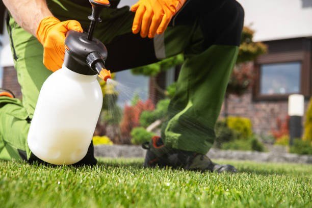 Best Wasp Removal Services  in Granger, IN