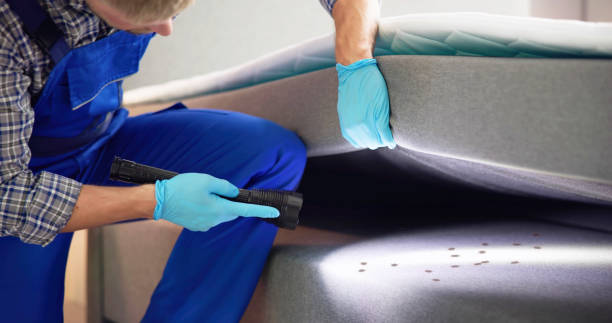 Best Termite Control Services  in Granger, IN