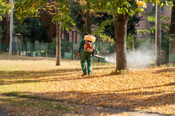 Flea Control Services in Granger, IN