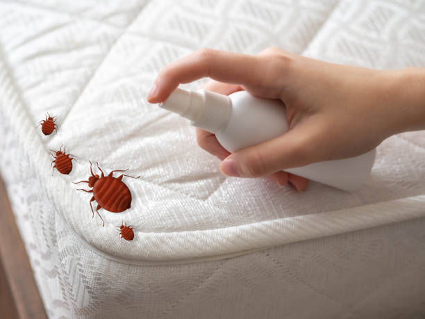Best Pest Removal Services  in Granger, IN