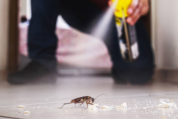 Best Affordable Pest Control Services  in Granger, IN