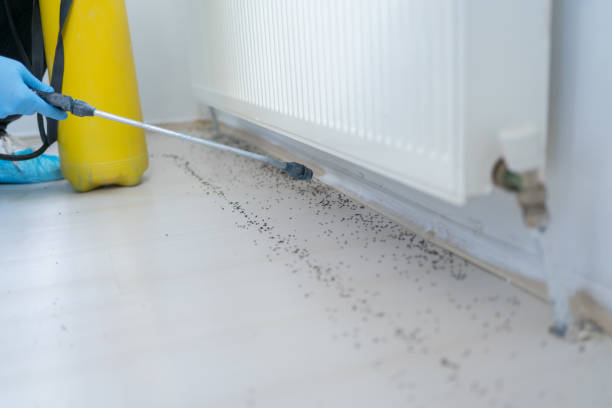 Best Best Pest Control Companies  in Granger, IN