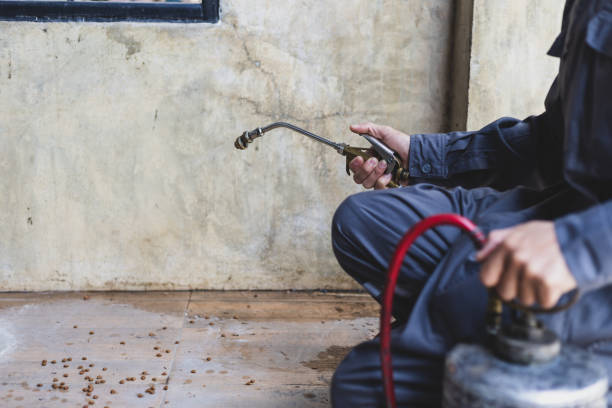 Best Affordable Exterminators  in Granger, IN